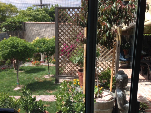 garden office view thru screen