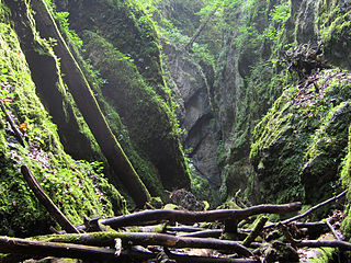 320px Sighistel gorge