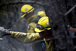 Colorado Waldo Canyon Fire Image 19 of 24 2