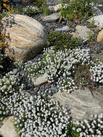 Fifteen Principles for Eating Disorder Recovery