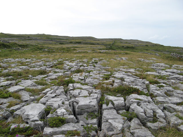 Limestone pavement - geograph.org.uk - 1471141