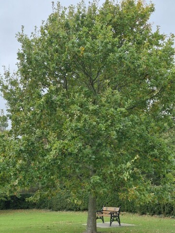 Depth oriented recovery work