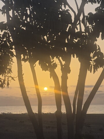 Claiming the Lost Self series image representing emergence of lived life introduction