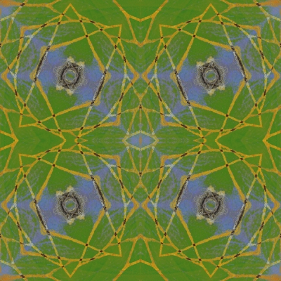 butterfly catapillar metaphor symbol