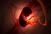 Birth experience in midlife