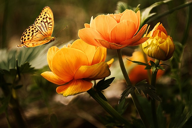 psychotherapy benefits