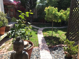 eating disorder behavior panic attack