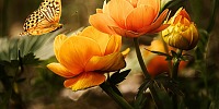 psychotherapy benefits