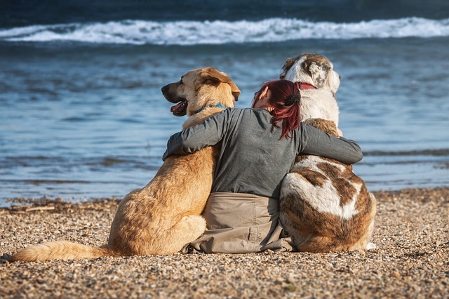 two dogs and woman on beach